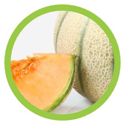 Cantaloup Melon
